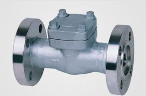 non-return valve