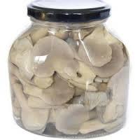 canned oyster mushroom