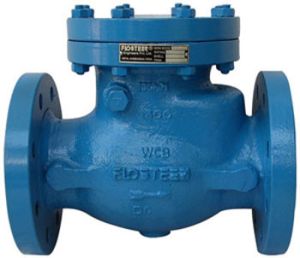 Swing Check Valves