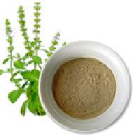 Tulsi Powder