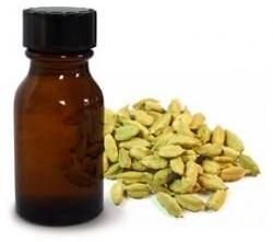 Cardamom Oil