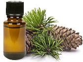 Cedarwood Himalayan Oil