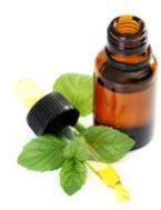 Peppermint Oil