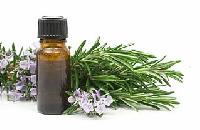 Rosemary Oil