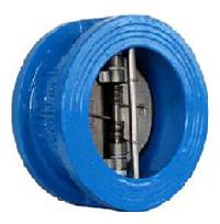 Dual Plate Check Valves