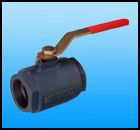 Single Piece Screwed End Heavy Type
