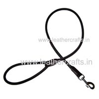 Dog Leashes