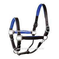 Horse Halters