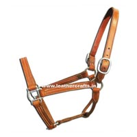 Horse Halters