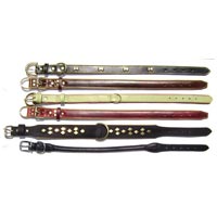 Dog Collars