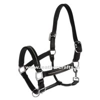 Horse Halters