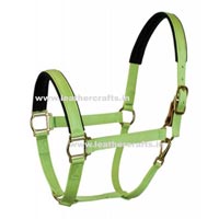 Horse Halters