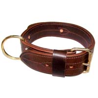 Dog Collars