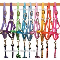 Horse Halters