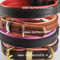 Dog Collars