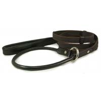 Dog Leashes