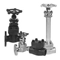 Forged steel valves