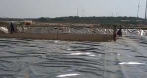 Geomembrane
