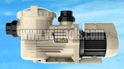 Heavy Duty Swimming Pool Pump