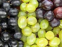 Fresh Grapes