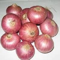 Red Onion