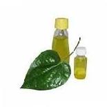 Betel Leaf Oil