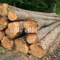 Pinewood Logs