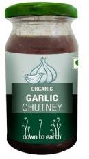 Garlic Chutney