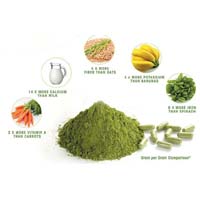 Moringa Olifera Dry leaf powder