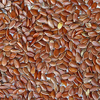 Flax Seeds