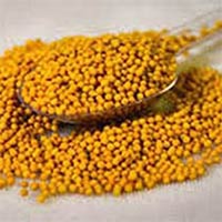 Yellow Mustard Seeds