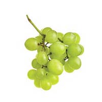 Fresh Green Grapes