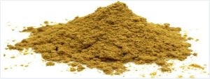 Coriander Powder