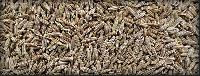 Cumin Seeds