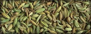 indian fennel seeds