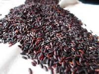 Black Rice