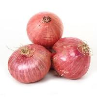Organic Fresh Onion