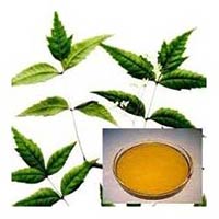 Neem Oil