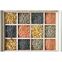 Indian Pulses