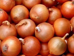 Big Red Onion