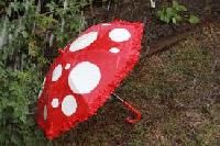 Mushroom Umbrella