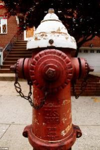 Fire Hydrant Systems