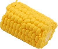 Corn Cob