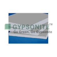Gypsum Board
