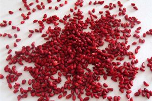 Anardana Seeds