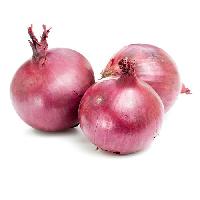 Fresh Onion