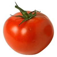 Fresh Tomato