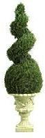 topiary plants