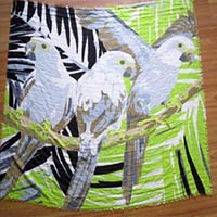 Animal Printed scarves