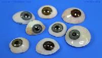 artificial eye